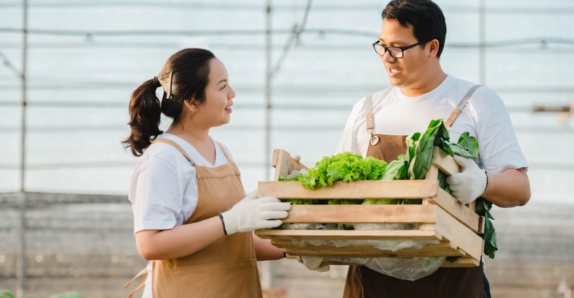 Chính sách Agri Food Banner Image